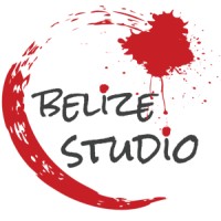 Belize Studio logo - Similar company to Cloudsurge Llc