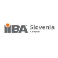 IIBA Slovenia Chapter logo - Similar company to Elektromaterial Lendava D.O.O.