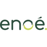 Enoé logo - Similar company to Irisolaris
