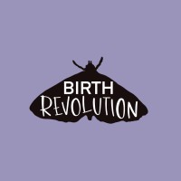 Birth Revolution logo - Similar company to Birth Justice Collaborative
