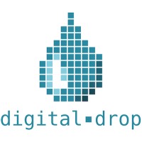 Digital Drop S.r.l. logo - Similar company to Digital Storm