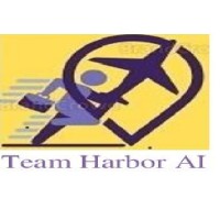 TeamHarbor AI Solutions LLP logo - Similar company to Big Chip Consulting