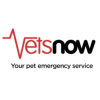 Vets Now Ltd logo - Similar company to Smithmatthias Ltd.