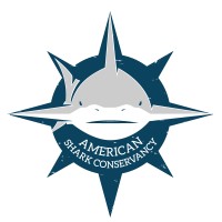 American Shark Conservancy logo - Similar company to Shark Stewards