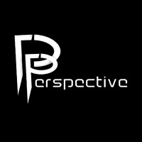 Pixels Perspective logo - Similar company to Fin - Future Is Now