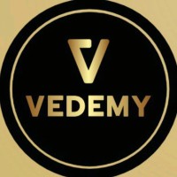 Vedemy Ventures LLP logo - Similar company to Hey Bubba Ai