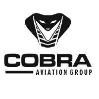 Cobra Aviation Group logo - Similar company to Cobra Jet Aviation