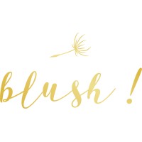 Blush ! logo - Similar company to Zikurat