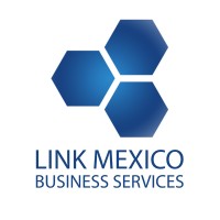 LINK MEXICO logo - Similar company to Link Mexico