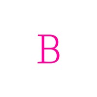 The Bourne Consultancy logo - Similar company to Llio