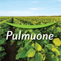 Pulmuone Foods USA, Inc. logo - Similar company to Jung Kwan Jang