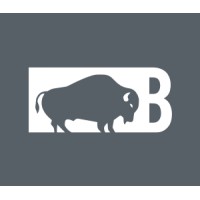 Bison Parts logo - Similar company to Solo Engineering