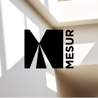 Mesur logo - Similar company to Renocart