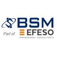 BSM Lean Consultants logo - Similar company to Efeso Management Consultants