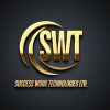 Success Work Technologies ltd logo - Similar company to Iths.Eu