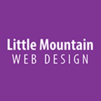 Little Mountain Web Design logo - Similar company to Brandview