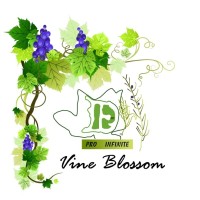 Vine Blossom logo - Similar company to Dharma Boutique Hotel