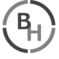 Best Helvetic AG logo - Similar company to Ganira