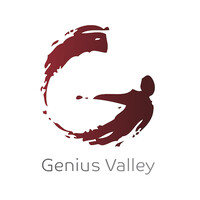 Genius Valley for Telecom & Information Technology logo - Similar company to Mega Information Technology & Security Systems