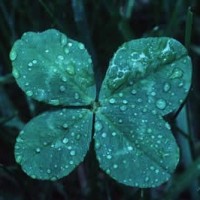 Cloverdale Senior Multipurpose Center