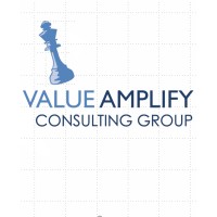 Value Amplify Consulting Group logo - Similar company to Evalumine