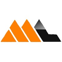 MITHUN LEO SOFT TECH PVT LTD logo - Similar company to Cube Software Private Limited