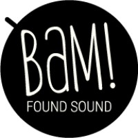 BAM Sound logo - Similar company to Nft.Soho