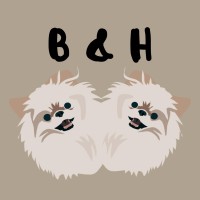 Bert & Hugo logo - Similar company to Millas Tour