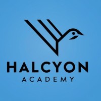 Halcyon Data Academy logo - Similar company to Technical Freelancer Academy