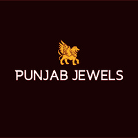 Punjab jewels logo - Similar company to Audi Indore