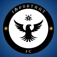 Important FC logo - Similar company to Tucelu Store