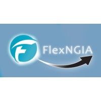 FlexNGIA logo - Similar company to Asr Dev