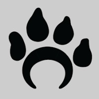 CAACURH logo - Similar company to Torch Discover Co.