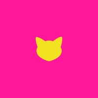 copycat logo - Similar company to The Sole Womens