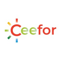 CEEFOR-Energy Efficient Solution logo - Similar company to Charge&Go