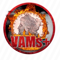 VAMs Plus LLC logo - Similar company to Vams & Co.