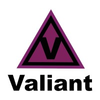 Grupo Industrial Valiant S.L. logo - Similar company to Inplasor Galicia Sl