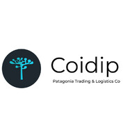 Coidip logo - Similar company to Ardtec Srl