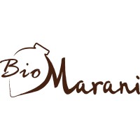 BioMarani logo - Similar company to Governance@Work