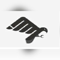 EAGLE GENERAL TRADING logo - Similar company to Plan B For Trading Services