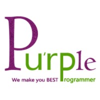 Purple IT Solutions logo - Similar company to Sk It Infotech