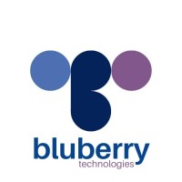 Bluberry Technologies logo - Similar company to Iits