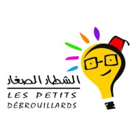 Les Petits Débrouillards-Maroc logo - Similar company to Um5 Esd Committe