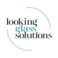 Looking Glass Solutions logo - Similar company to Fractional On Demand