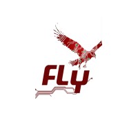 Fly logo - Similar company to Affirmative-Afrique