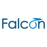 Falcon Media Services logo - Similar company to Lastarria Media Llc