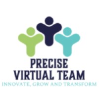 Precise Virtual Team logo - Similar company to Adappt Intelligence