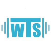 WTS Wireless Technical Services logo - Similar company to Sapa Technologies Ltd.
