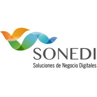 Sonedi Soluciones de Negocio Digitales logo - Similar company to Flamen