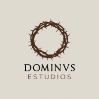 Dominus Estudios logo - Similar company to Fundación Infinito + 1